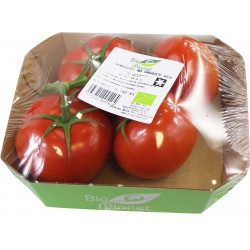 Pomidory na gałązce BIO ( 0,45 kg)